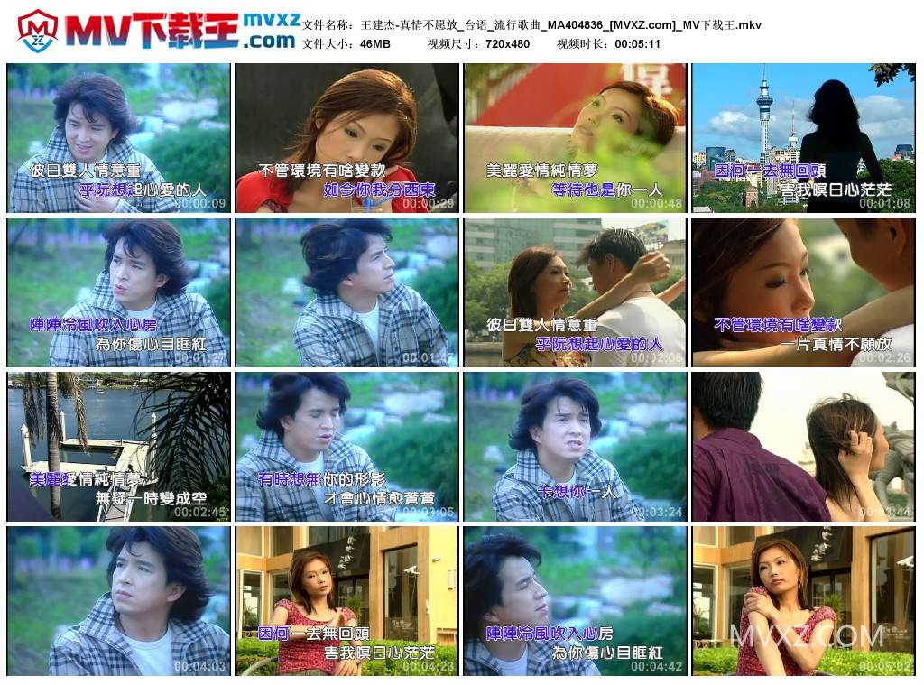 王建杰-真情不愿放_台语_流行歌曲_MA404836